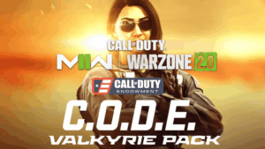 باندل وارزون Endowment Valkyrie Pack