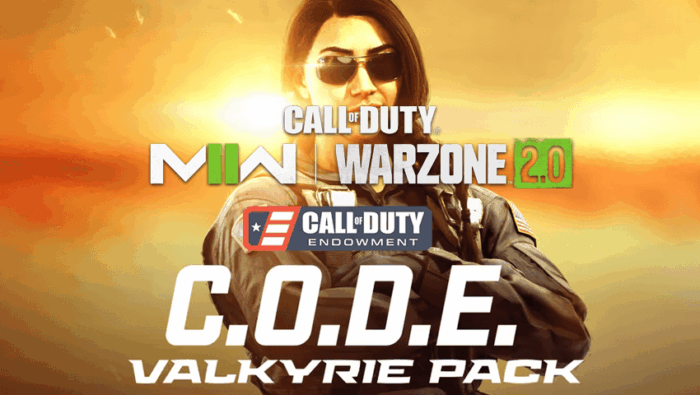 باندل وارزون Endowment Valkyrie Pack