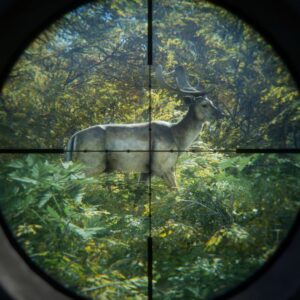 خرید بازی theHunter: Call of the Wild