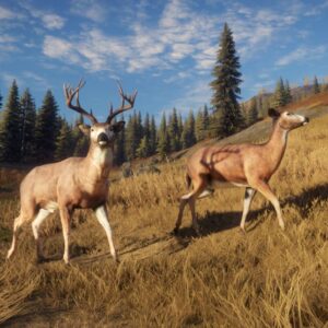 خرید بازی theHunter: Call of the Wild