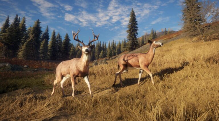 خرید بازی theHunter: Call of the Wild