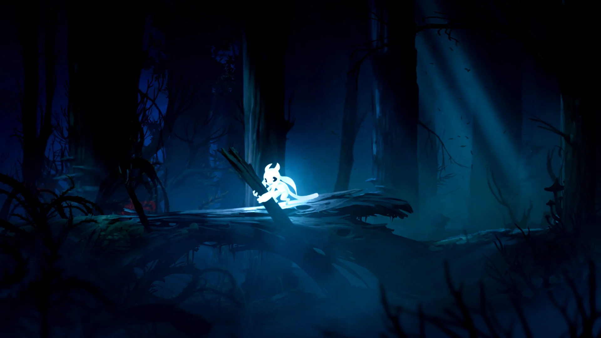 بازی Ori and the Blind Forest استیم 1 تصویر بازی Ori and the Blind Forest در استیم