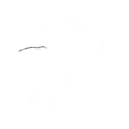اسکین آیتم شاپ و ویباکس دلخواه فورتنایت 83 Predator's Sword Slash